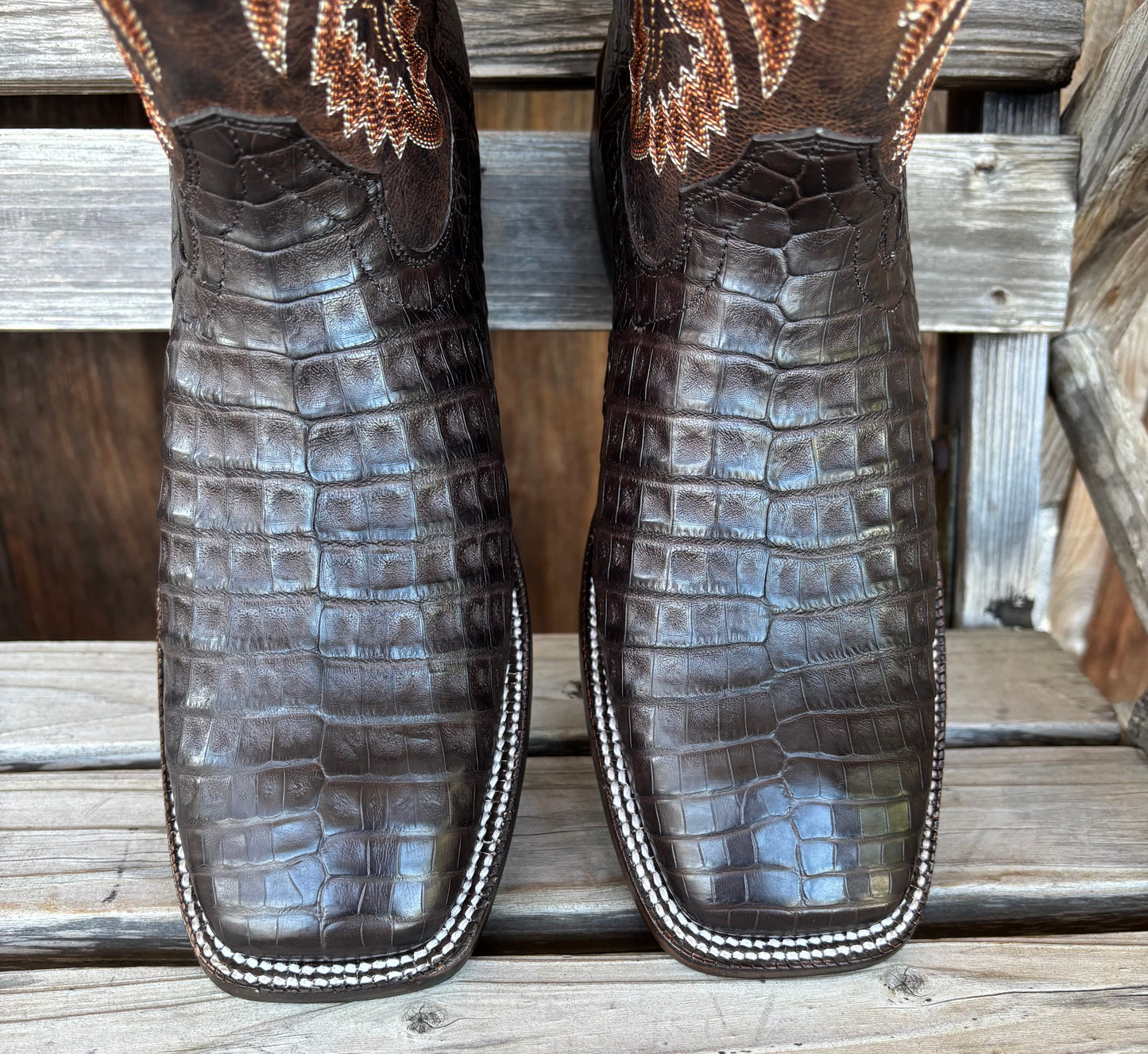 Chocolate Caiman Belly | Ariat Mens