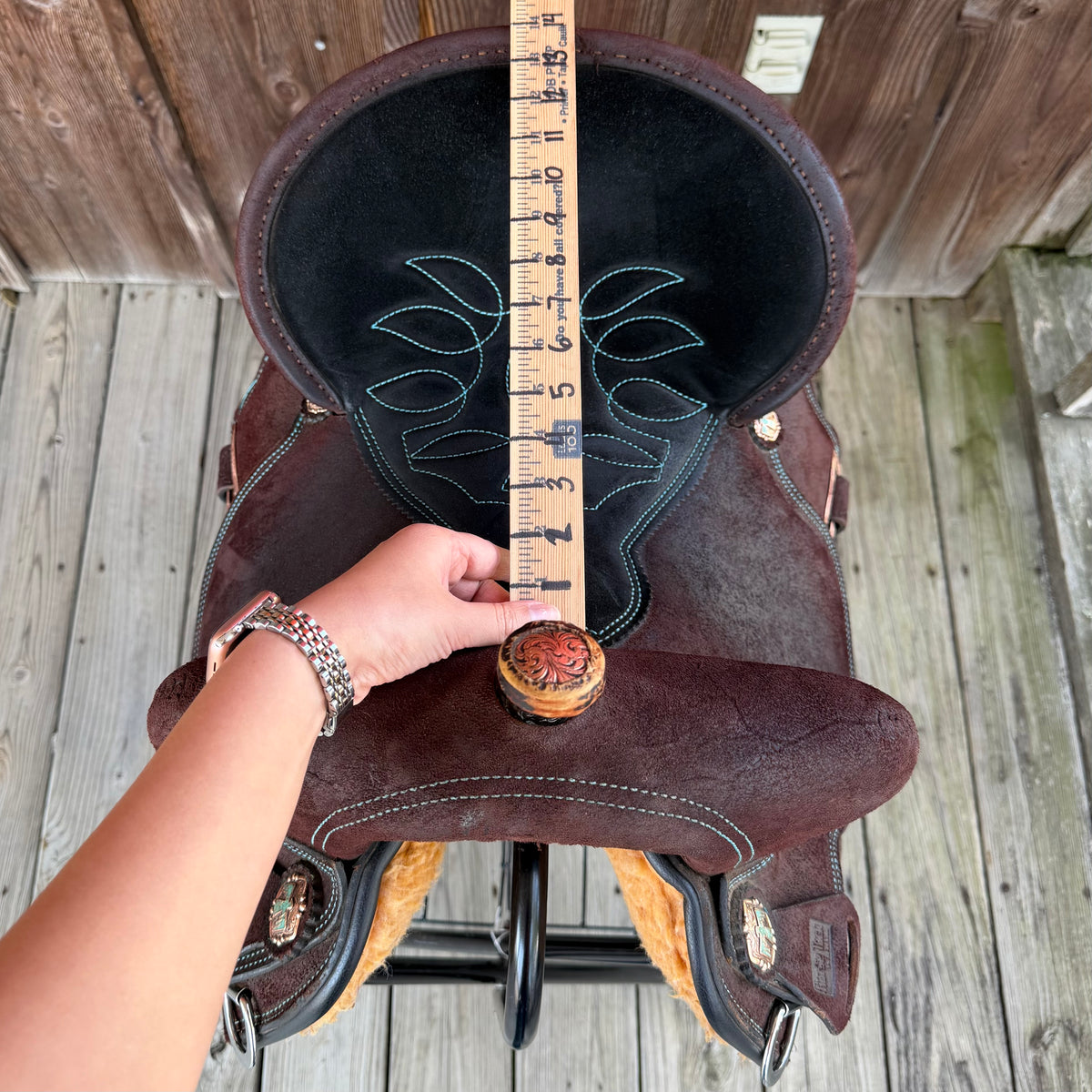 13.5" Wide Horse Tack World