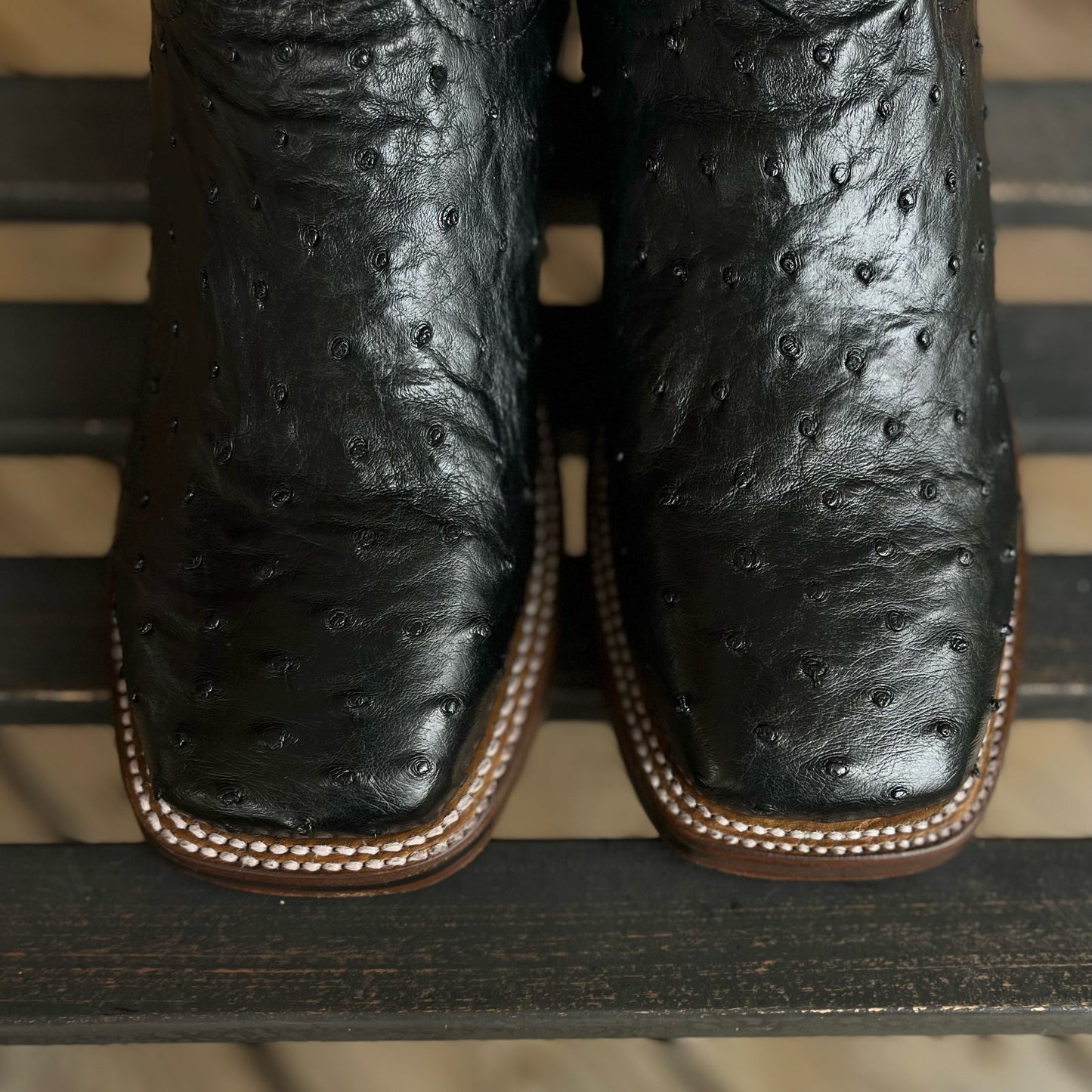 Full Quill Ostrich | Dan Post Mens