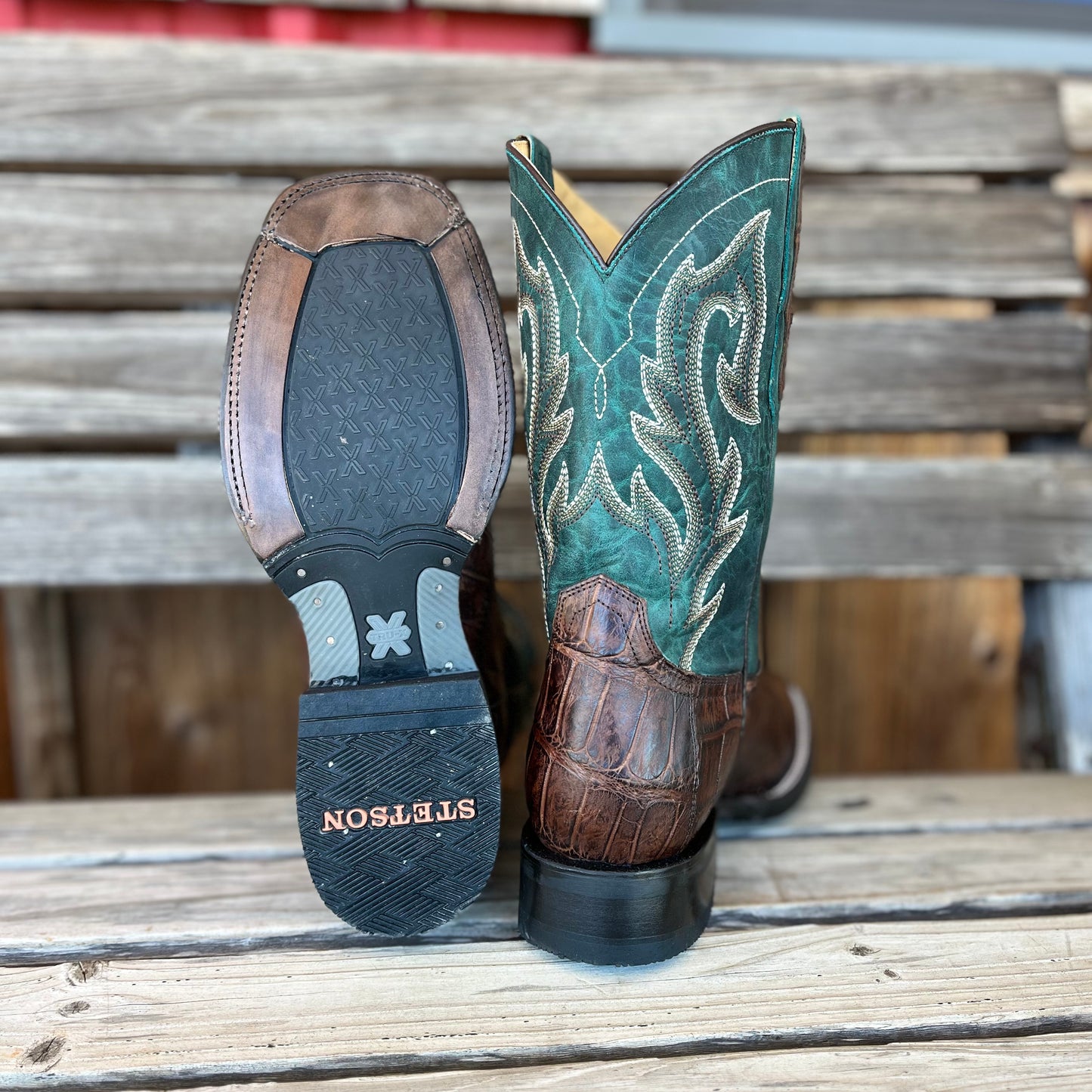 Brown Alligator | Stetson Mens