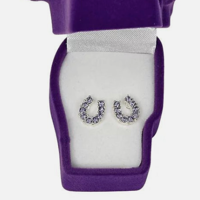 Purple Crystal Horseshoe Earrings