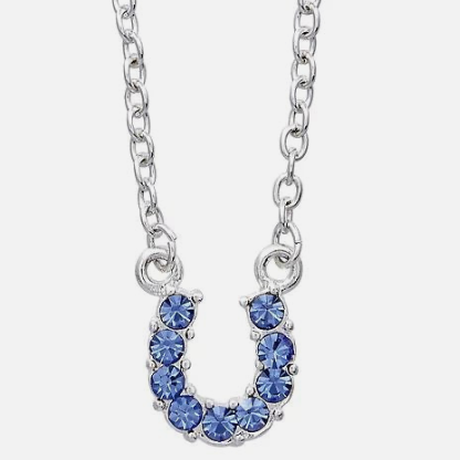 Blue Crystal Horseshoe Necklace