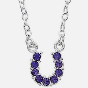 Purple Crystal Horseshoe Necklace