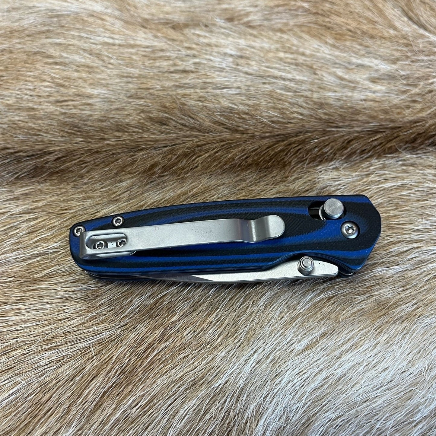 Blue Catch Pin Knife