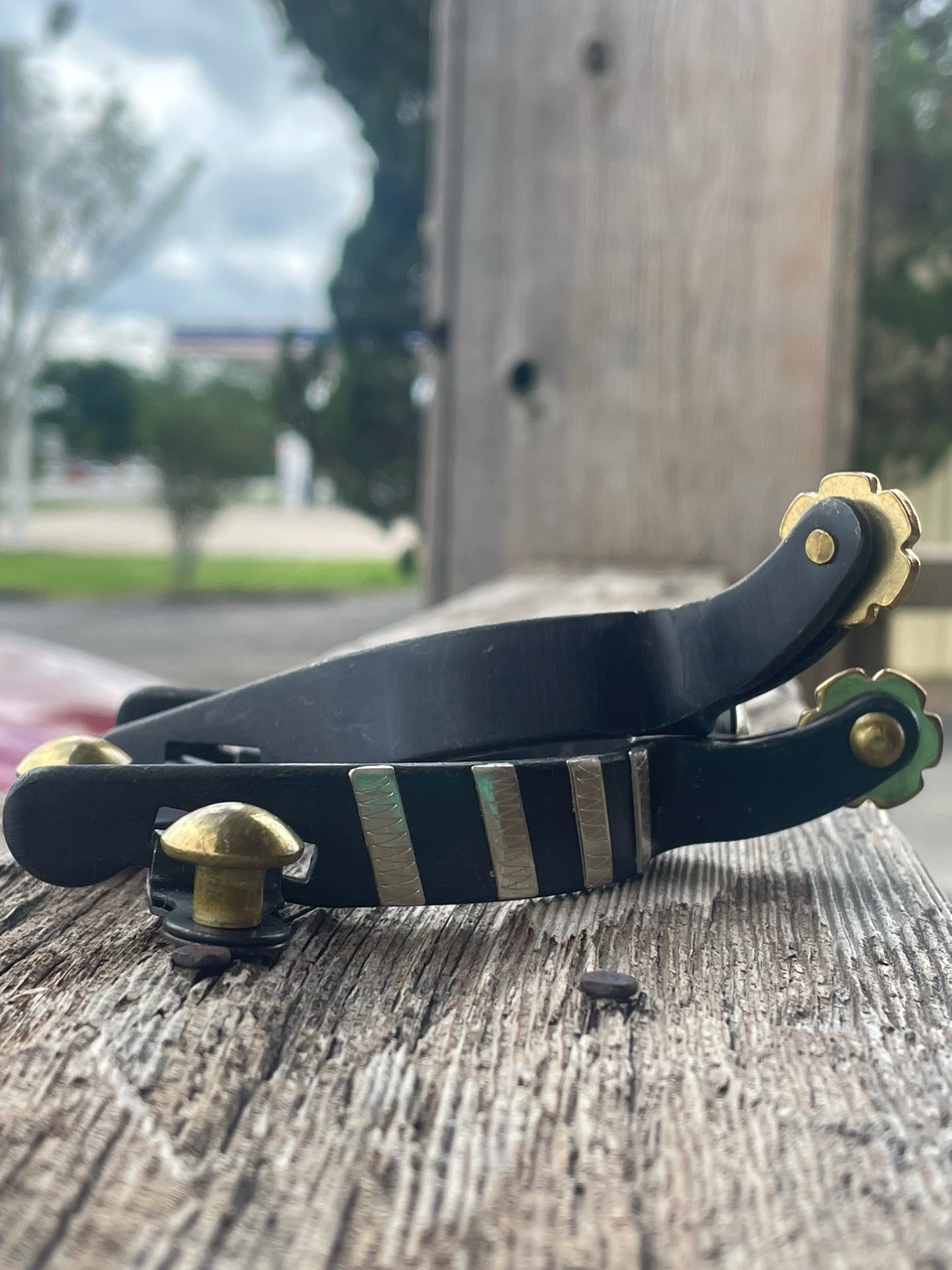 Youth Black Spur | Professional's Choice