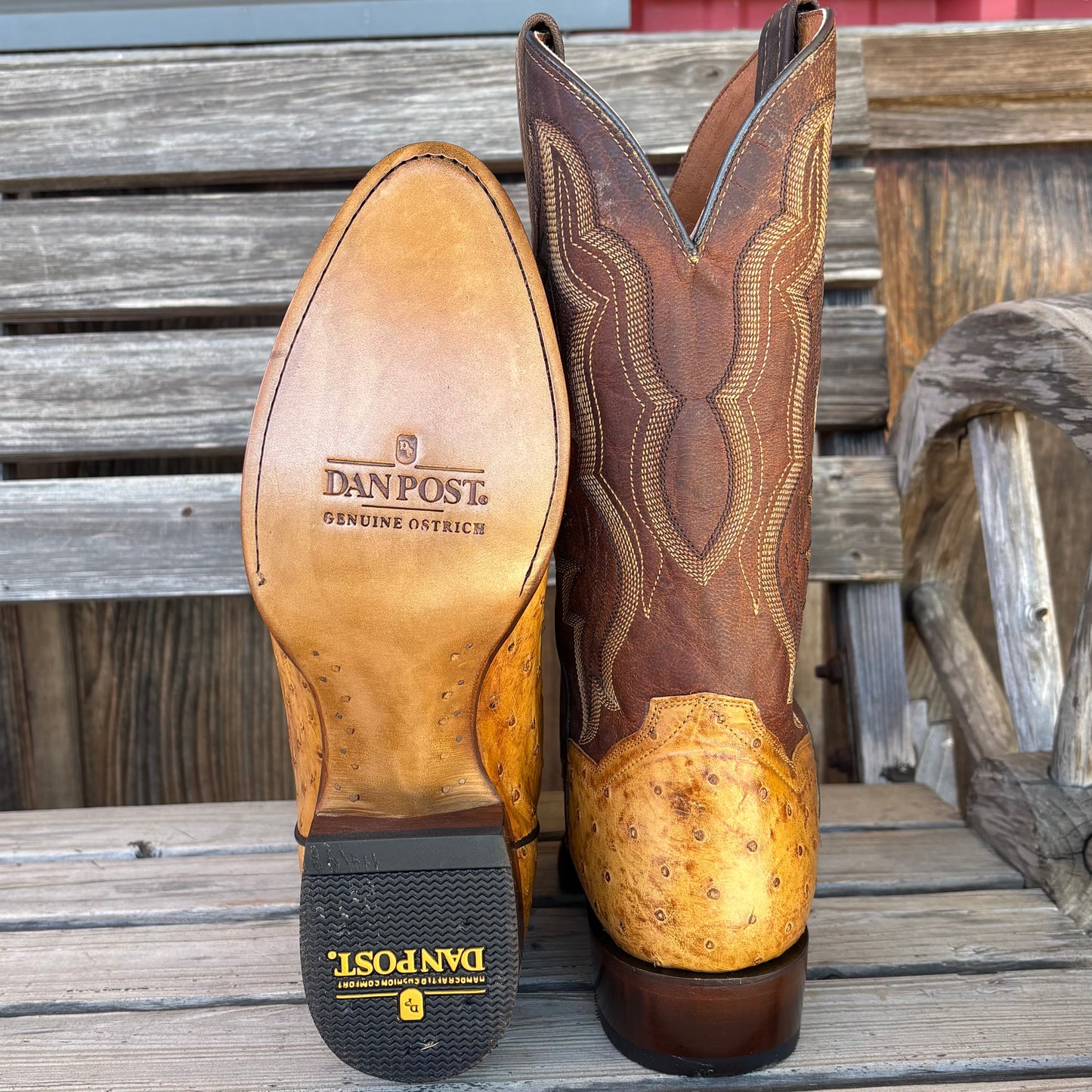 Gehrig Full Quill Ostrich | Dan Post