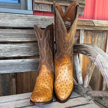 Gehrig Full Quill Ostrich | Dan Post