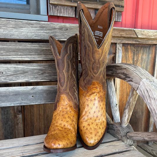 Gehrig Full Quill Ostrich | Dan Post