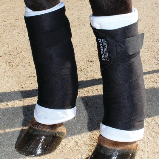 Equisential Standing Bandage