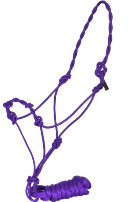 Knotted Halter with Lead