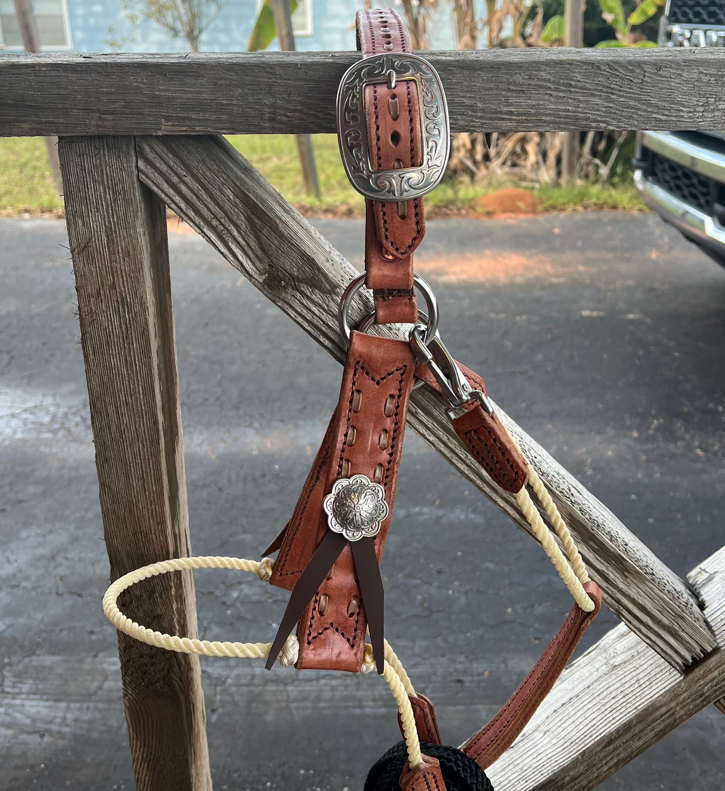 Rope Nose Halter – Summerdale Western Store