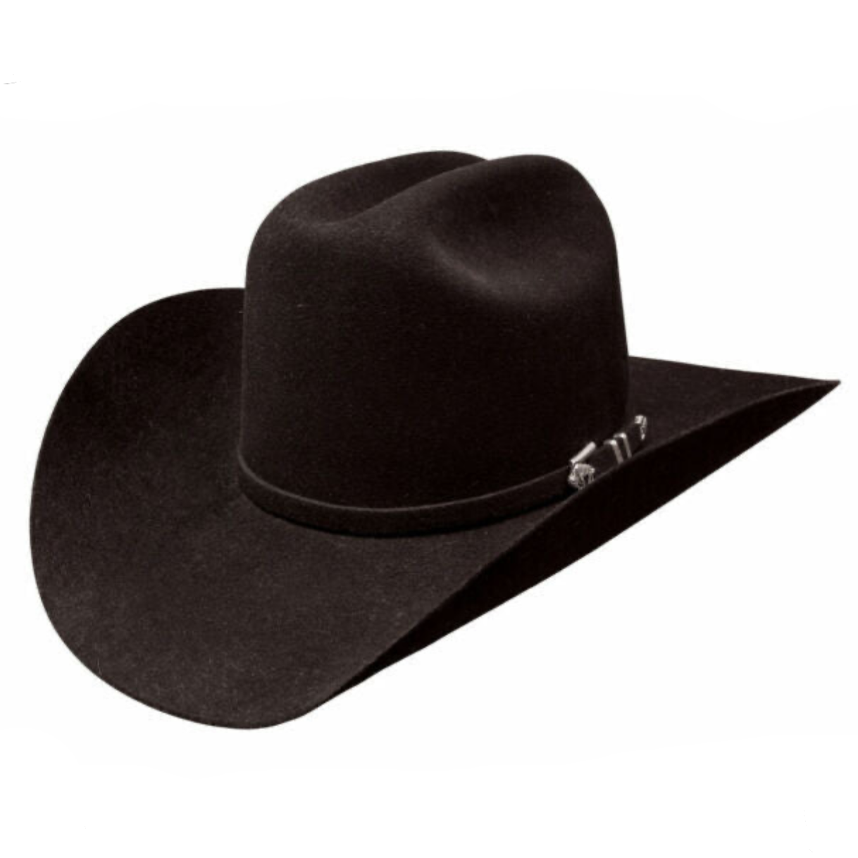 Apache Buffalo | Stetson