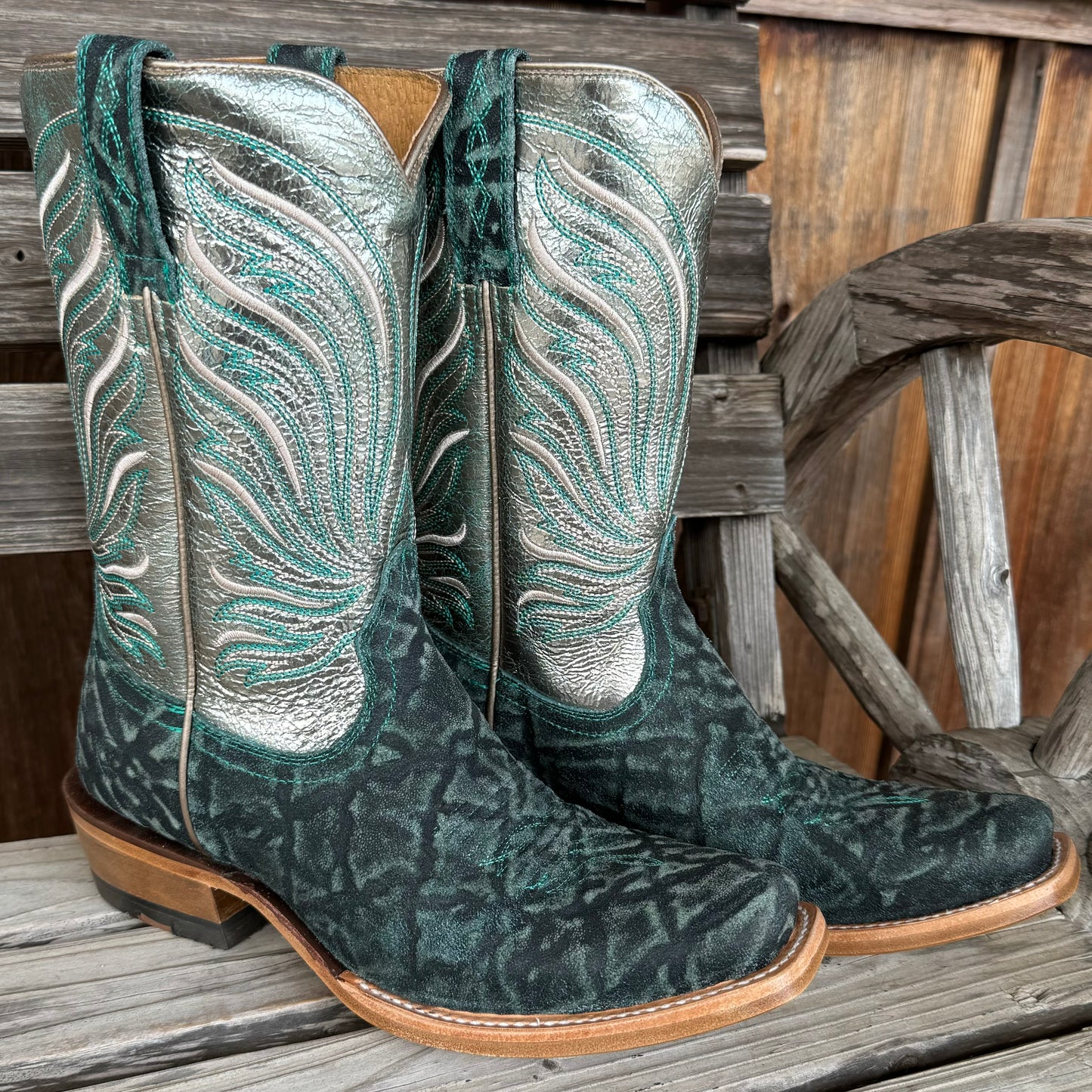 Futurity Dash | Ariat Womens