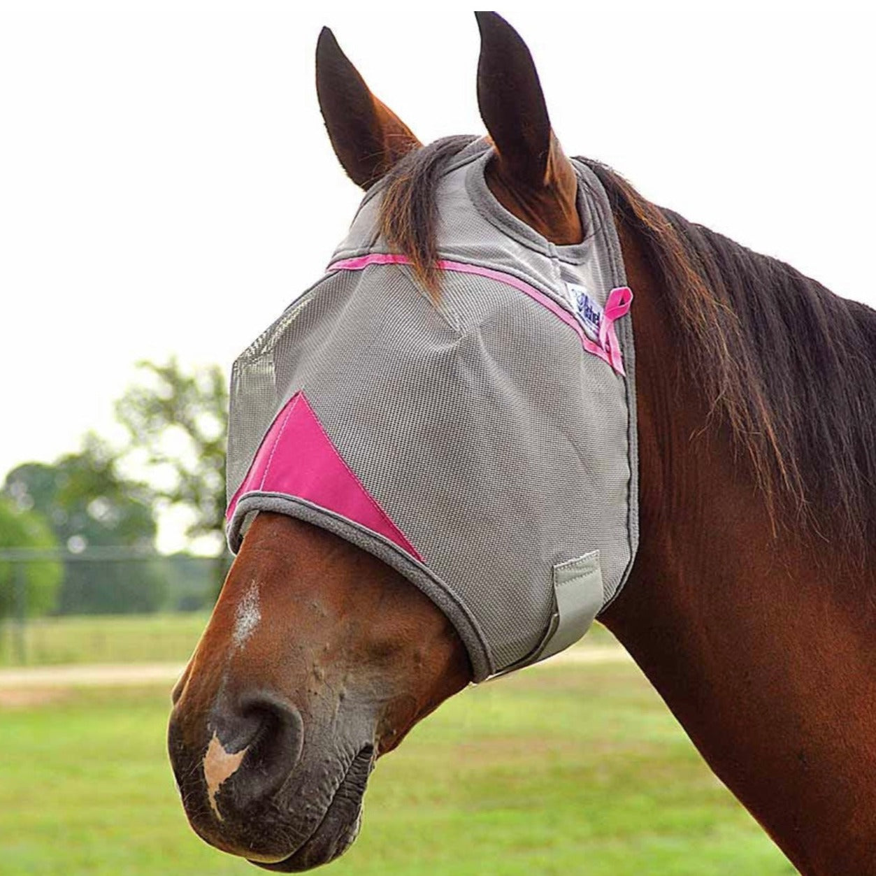 Crusader Fly Mask Standard Pink